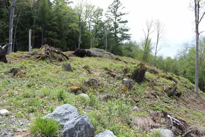 Lot 23/24 Wetherbee Road, Lyman, NH 03585 - Photo 33