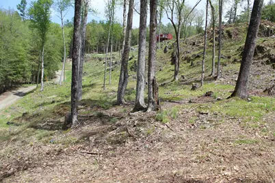 Lot 23/24 Wetherbee Road, Lyman, NH 03585 - Photo 43