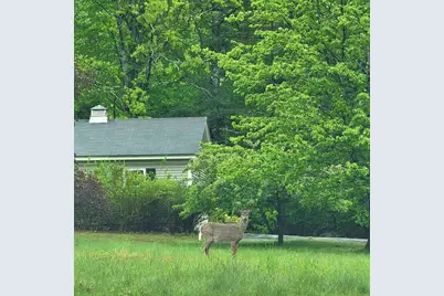 13 Federal Corner Road, Tuftonboro, NH 03816 - Photo 55