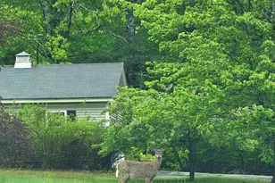13 Federal Corner Rd, Tuftonboro, NH 03816 - Photo 55