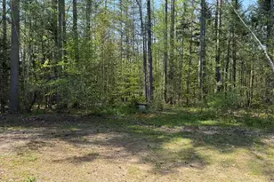 48 Spa Rd, Danbury, NH 03230 - Photo 29