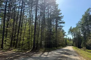 48 Spa Rd, Danbury, NH 03230 - Photo 31