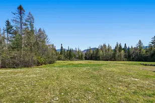 919 Easton Rd, Franconia, NH 03580 - Photo 31
