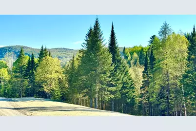 Lot 8 Gulch Brook Road, Stewartstown, NH 03576 - Photo 13