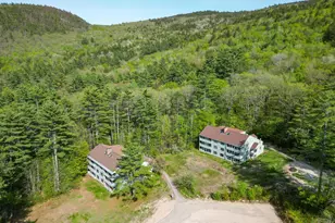 14E Seasons At Attitash Rd, Bartlett, NH 03812 - Photo 3