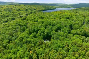 19 Hummingbird Hill, Grantham, NH 03753 - Photo 47