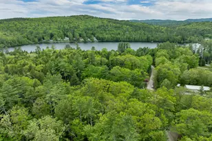34 Hollings Rd, Webster, NH 03303 - Photo 13