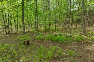 10 Edwin Ln, Newmarket, NH 03857 - Photo 47