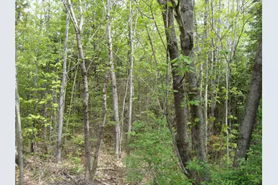 208 Grafton Turnpike Road, Canaan, NH 03741 - Photo 25
