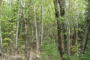 208 Grafton Turnpike Rd, Canaan, NH 03741 - Photo 25