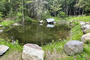 130 Village Rd, Langdon, NH 03602 - Photo 49