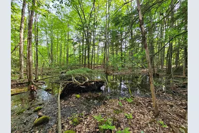 Lot 26 Province Road, Belmont, NH 03220 - Photo 27