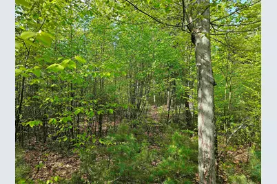 Lot 26 Province Road, Belmont, NH 03220 - Photo 23