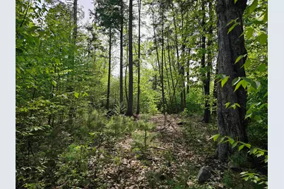 Lot 26 Province Road, Belmont, NH 03220 - Photo 29