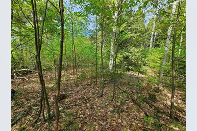 Lot 26 Province Road, Belmont, NH 03220 - Photo 35