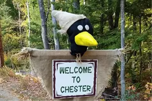 197 Chester St, Chester, NH 03036 - Photo 45