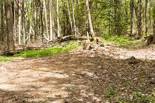 30 Dalton Rd, Dalton, NH 03598 - Photo 33