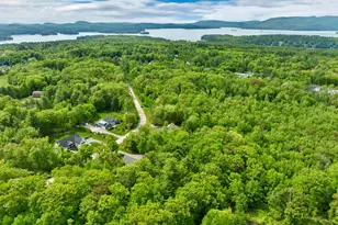 56 Ambrose Way, Wolfeboro, NH 03894 - Photo 49