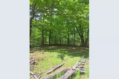 81 Hart Farm Road, Deering, NH 03244 - Photo 5