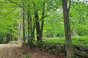 81 Hart Farm Rd, Deering, NH 03244 - Photo 1
