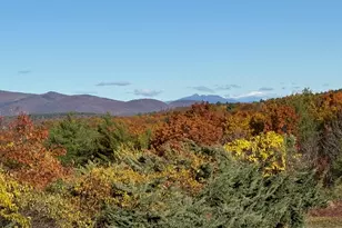 36 Blueberry Hill Rd, Wolfeboro, NH 03894 - Photo 3