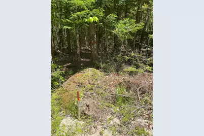 M14 L56 Taylor Circle, Washington, NH 03280 - Photo 5