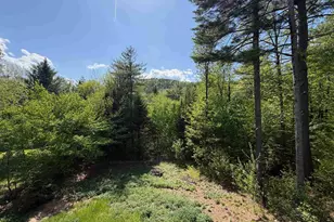 83 Tabor Cir, Albany, NH 03818 - Photo 13