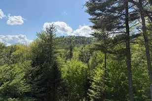83 Tabor Cir, Albany, NH 03818 - Photo 37