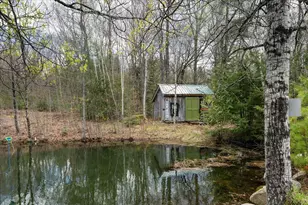 93 Wheeler Ln, Lempster, NH 03605 - Photo 33