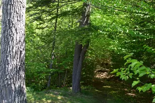 58 Stone Ledge Rd, Littleton, NH 03561 - Photo 17