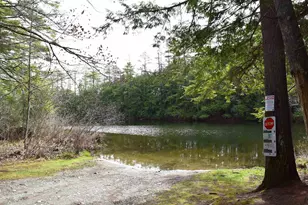 58 Stone Ledge Rd, Littleton, NH 03561 - Photo 53