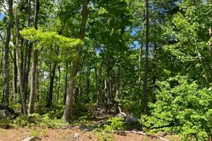 11 Lantern Ln, Londonderry, NH 03053 - Photo 23