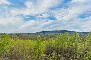 37 Bowman Rd, Alton, NH 03809 - Photo 55