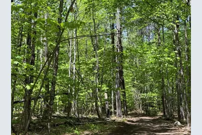 38 Northwood Estates Drive, Grafton, NH 03240 - Photo 41