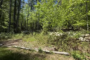38 Northwood Estates Dr, Grafton, NH 03240 - Photo 35