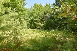 72 Conway Rd, Madison, NH 03849 - Photo 23