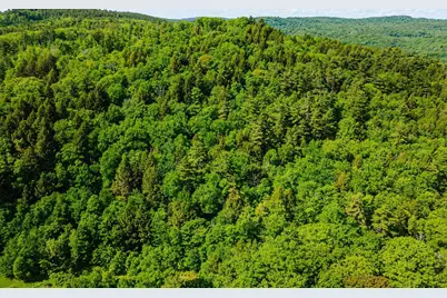 00 Camp Brook Road #Map 30 Lot 67, Alstead, NH 03602 - Photo 7