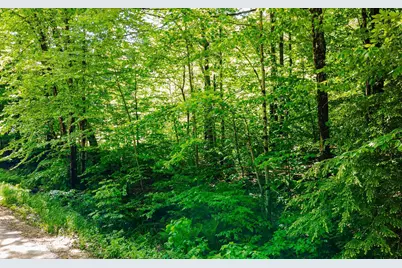 00 Camp Brook Road #Map 30 Lot 67, Alstead, NH 03602 - Photo 5