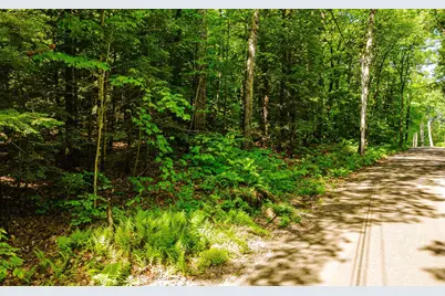 00 Camp Brook Road #Map 30 Lot 67A, Alstead, NH 03602 - Photo 5