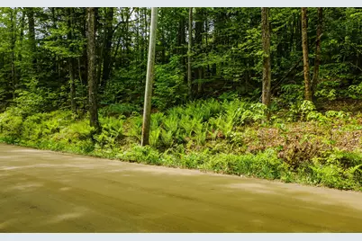 Lot 67 Camp Brook Road, Alstead, NH 03602 - Photo 9
