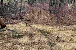 20 Lake Shore Dr, Winchester, NH 03470 - Photo 1