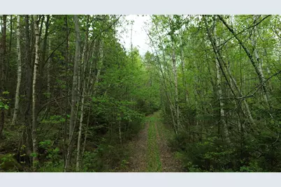 Map 8 Lot 29 Martin Road, Washington, NH 03280 - Photo 13