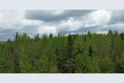 Map 8 Lot 29 Martin Road, Washington, NH 03280 - Photo 17