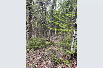 Map 8 Lot 29 Martin Road, Washington, NH 03280 - Photo 21