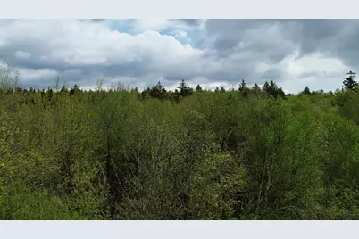 Map 8 Lot 29 Martin Road, Washington, NH 03280 - Photo 11