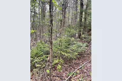 Map 8 Lot 29 Martin Road, Washington, NH 03280 - Photo 23