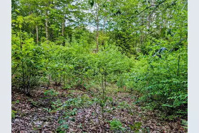 00 Access Road, Wakefield, NH 03887 - Photo 3