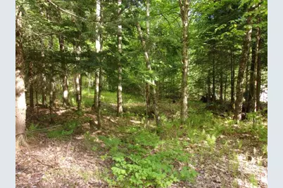 Lincoln Way #89, Haverhill, NH 03785 - Photo 3