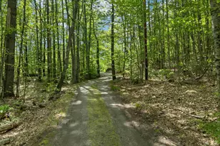 69 Ledge Rd, Croydon, NH 03773 - Photo 31