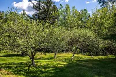 124 Forrester Road, Stratton, VT 05360 - Photo 39